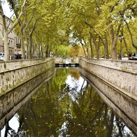 Alba Sunlit Comfort In